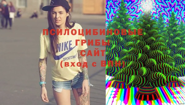 каннабис Горно-Алтайск