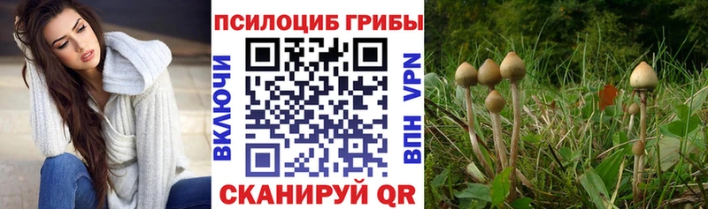 Псилоцибиновые грибы ЛСД  как найти   блэк спрут ссылки  Ступино 